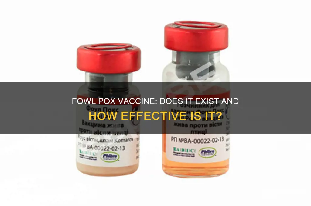 is there a vaccine for fowl pox