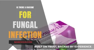 Exploring Fungal Infections: Are There Vaccines Available for Prevention?