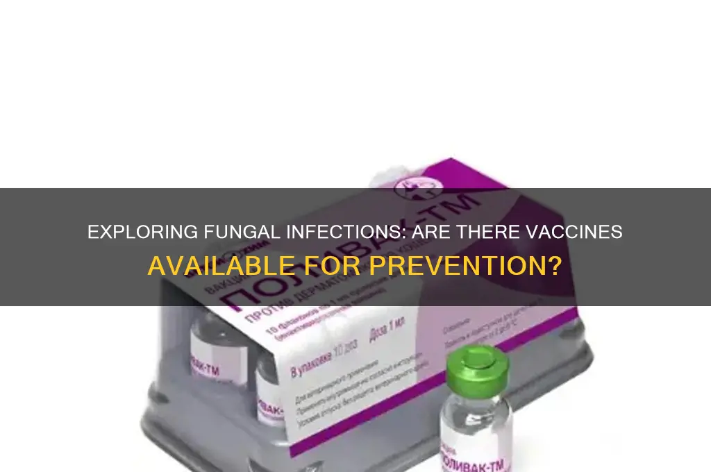 is there a vaccine for fungal infection