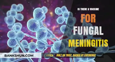 Fungal Meningitis Vaccine: Current Status and Future Prospects