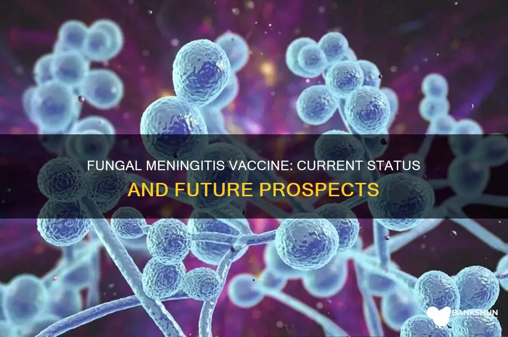is there a vaccine for fungal meningitis