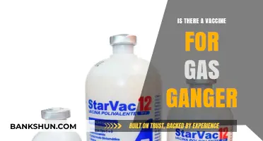 Exploring the Truth: Is There a Vaccine for Gas Gangrene?