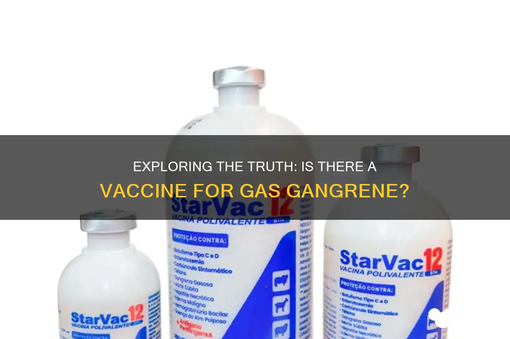 is there a vaccine for gas ganger