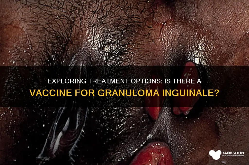 is there a vaccine for granuloma inguinale