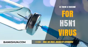 H5N1 Vaccine: Current Status and Future Prospects Explained
