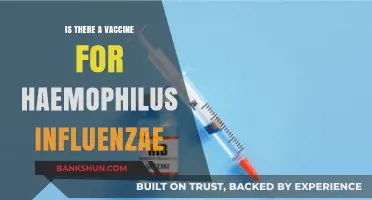 Haemophilus Influenzae Vaccine: Availability, Effectiveness, and Importance Explained