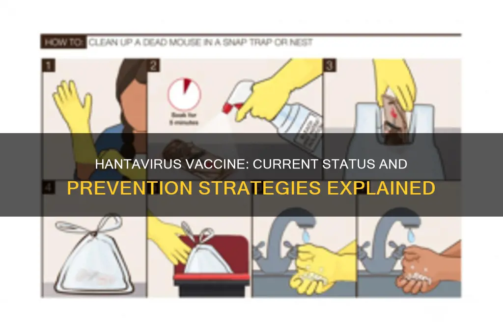 is there a vaccine for hanta fever