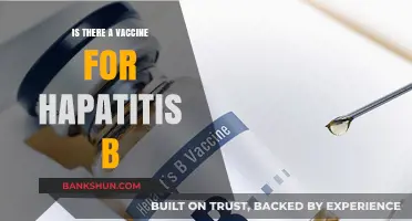 Hepatitis B Vaccine: Availability, Effectiveness, and Prevention Explained