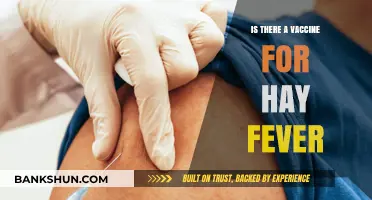 Hay Fever Vaccine: Fact or Fiction? Exploring Treatment Options