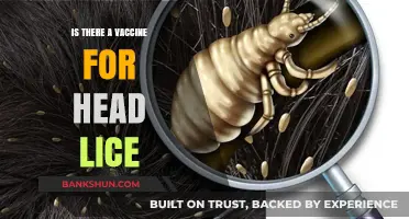 Head Lice Vaccines: Fact or Fiction? Exploring Prevention Options