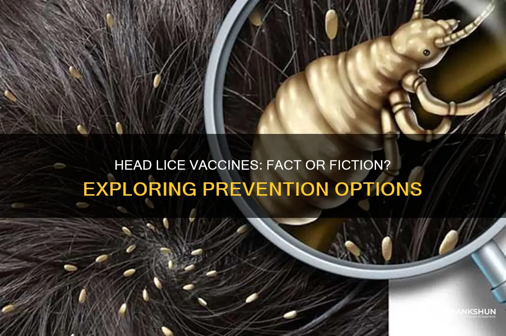 is there a vaccine for head lice