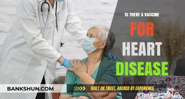 Can Vaccines Prevent Heart Disease? Exploring the Latest Research and Possibilities