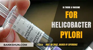 Exploring the Possibility of a Helicobacter Pylori Vaccine: What We Know