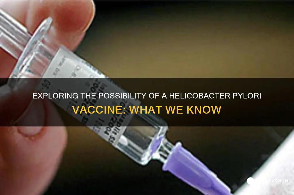 is there a vaccine for helicobacter pylori