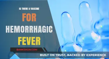 Hemorrhagic Fever Vaccine: Current Status and Future Prospects
