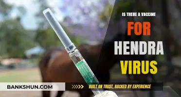Hendra Virus Vaccine: Current Status and Future Prospects Explained