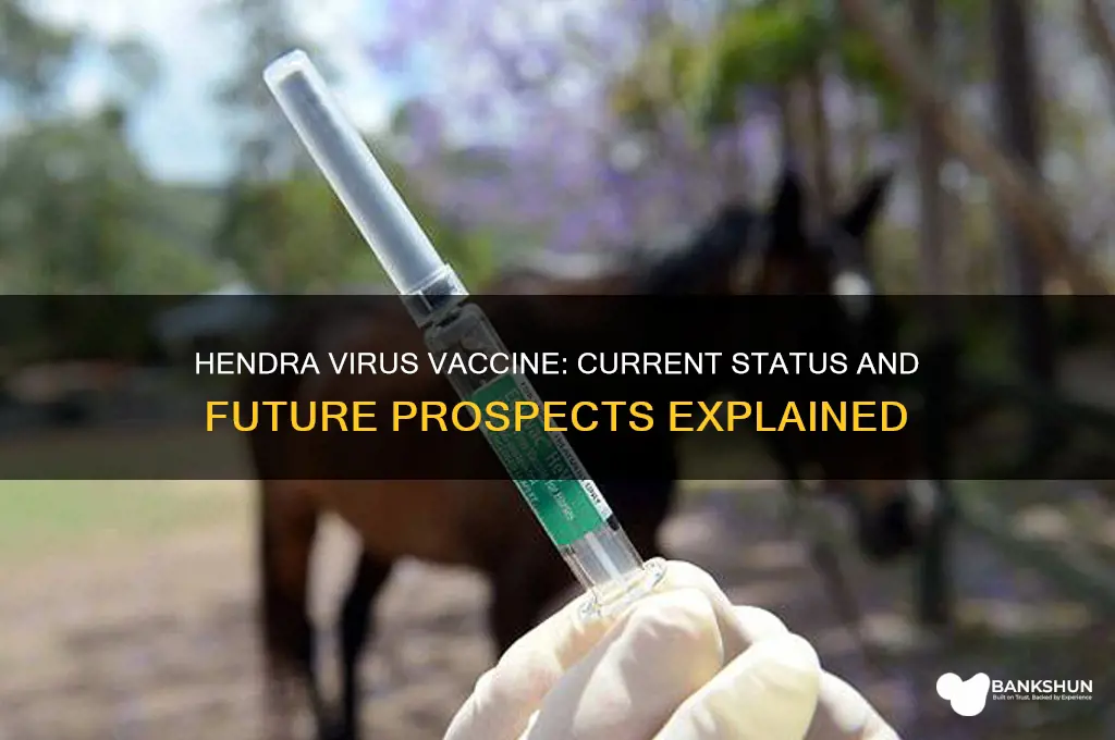 is there a vaccine for hendra virus