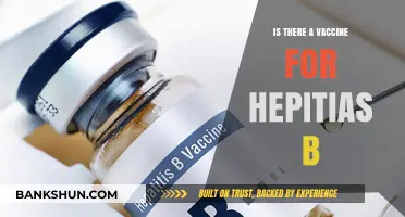 Hepatitis B Vaccine: Availability, Effectiveness, and Prevention Explained