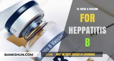 Hepatitis B Vaccine: Availability, Effectiveness, and Importance Explained
