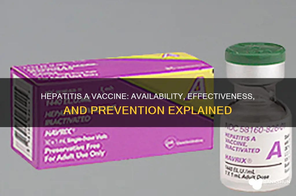 is there a vaccine for hetititus a