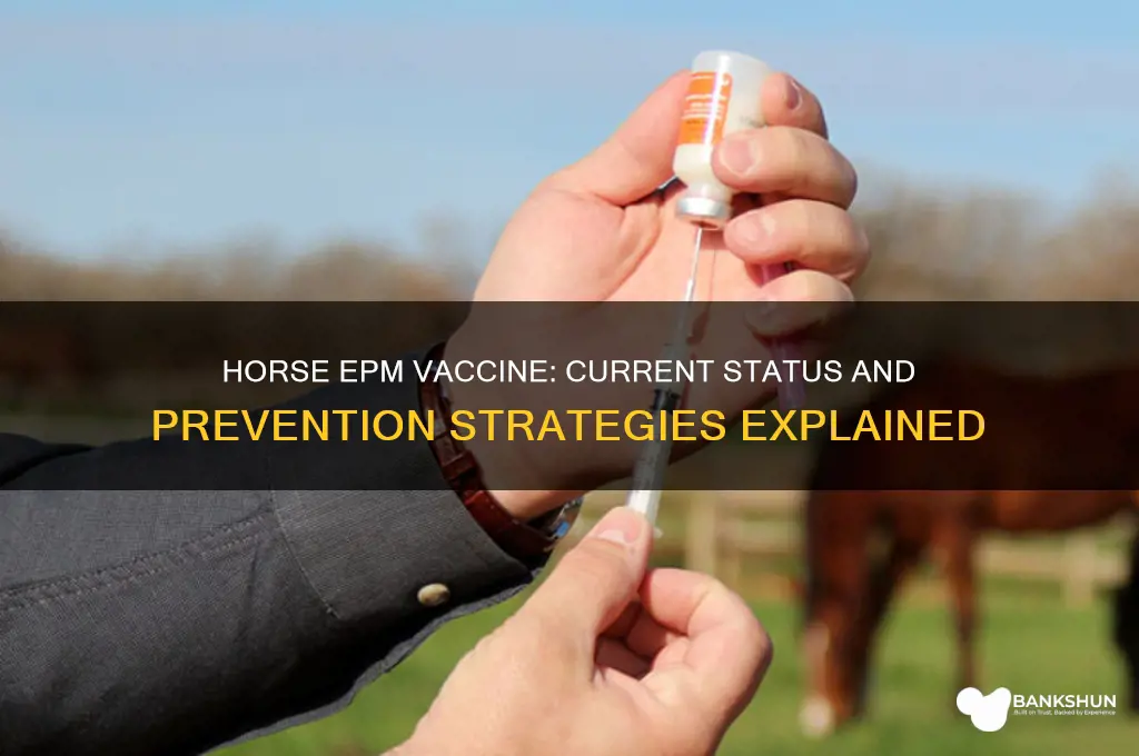 is there a vaccine for horse epm