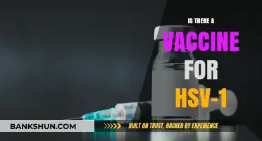 Exploring the Truth: Is There a Vaccine for HSV-1?