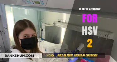 Exploring the Latest Research: Is There a Vaccine for HSV-2?