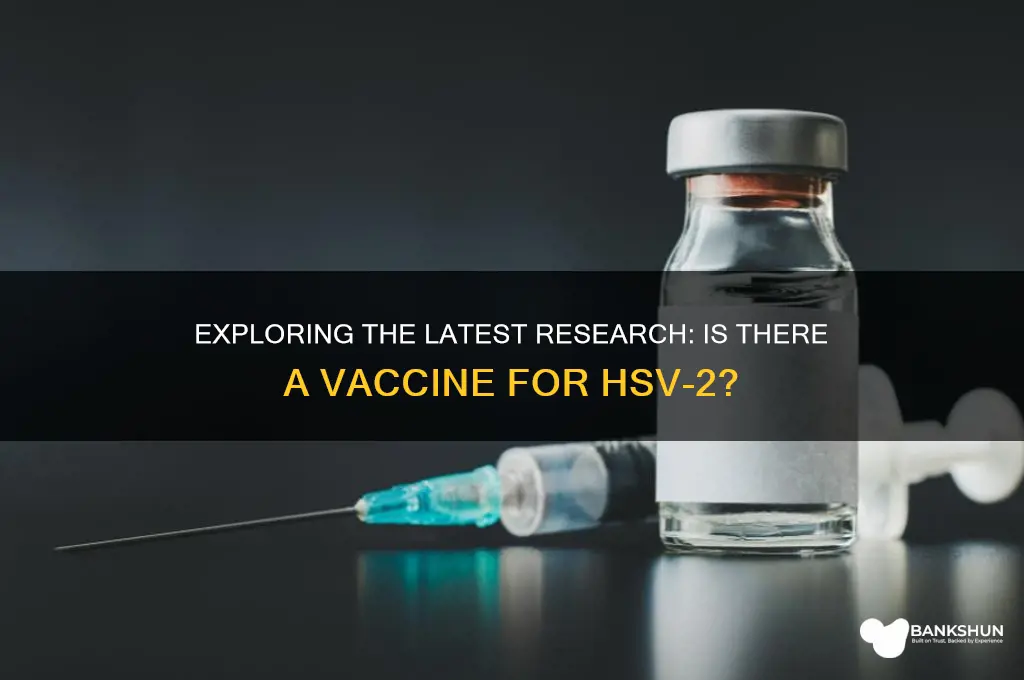 is there a vaccine for hsv 2