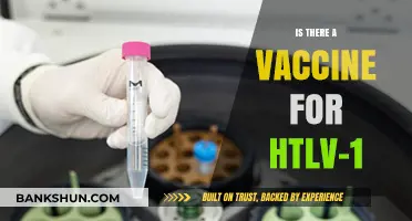 HTLV-1 Vaccine: Current Research and Prevention Strategies Explained