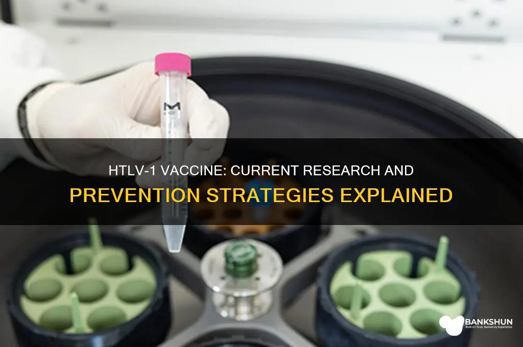 is there a vaccine for htlv-1