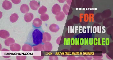Infectious Mononucleosis Vaccine: Current Status and Future Prospects