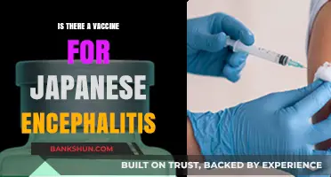 Japanese Encephalitis Vaccine: Availability, Efficacy, and Prevention Strategies
