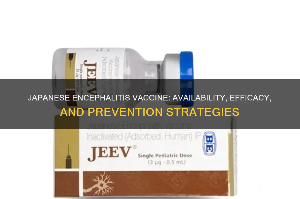 is there a vaccine for japanese encephalitis