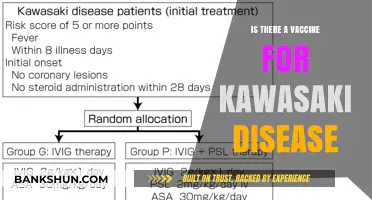 Kawasaki Disease: Current Vaccine Status and Prevention Strategies Explained