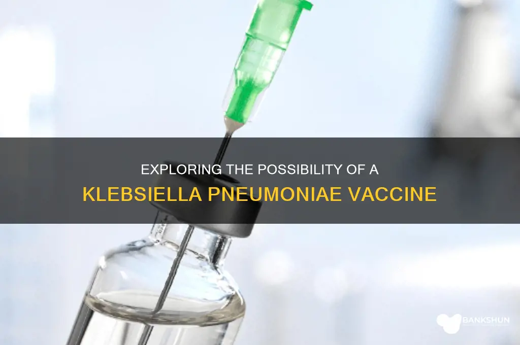 is there a vaccine for klebsiella pneumoniae