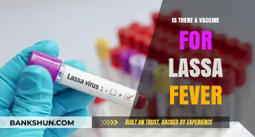 Is There a Vaccine for Lassa Fever? Current Status and Developments