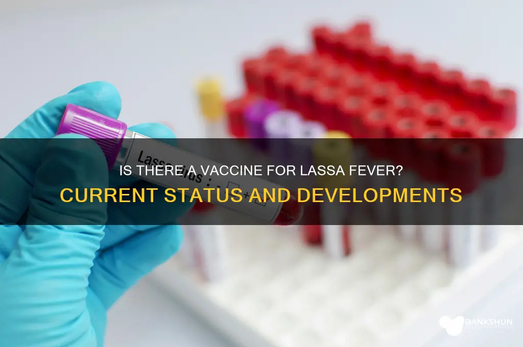 is there a vaccine for lassa fever