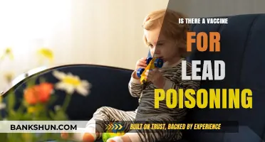 Can a Vaccine Prevent Lead Poisoning? Exploring Potential Solutions