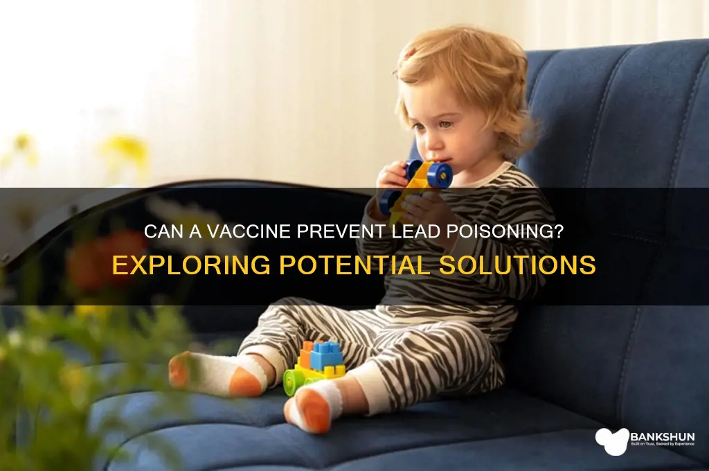is there a vaccine for lead poisoning