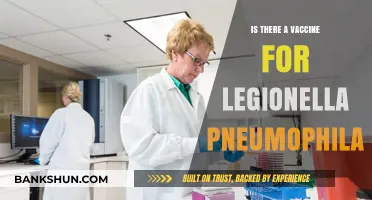 Legionella Pneumophila: Current Vaccine Status and Prevention Strategies