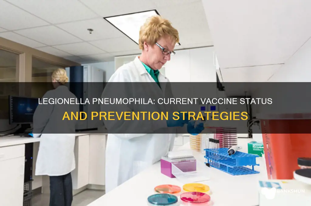 is there a vaccine for legionella pneumophila