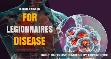 Is There a Vaccine for Legionnaires' Disease? What You Need to Know