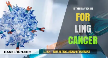 Exploring Lung Cancer Vaccines: Current Research and Future Possibilities
