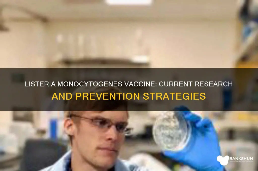 is there a vaccine for listeria monocytogenes