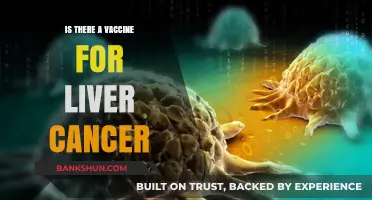 Exploring the Possibility of a Liver Cancer Vaccine: Current Research and Hope