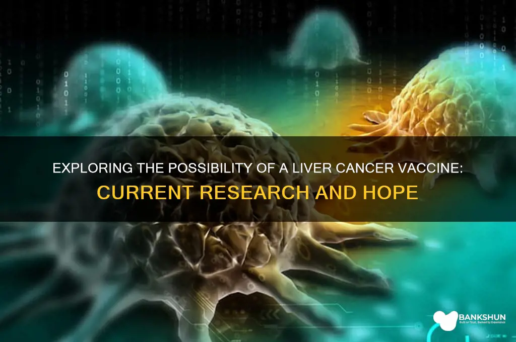 is there a vaccine for liver cancer