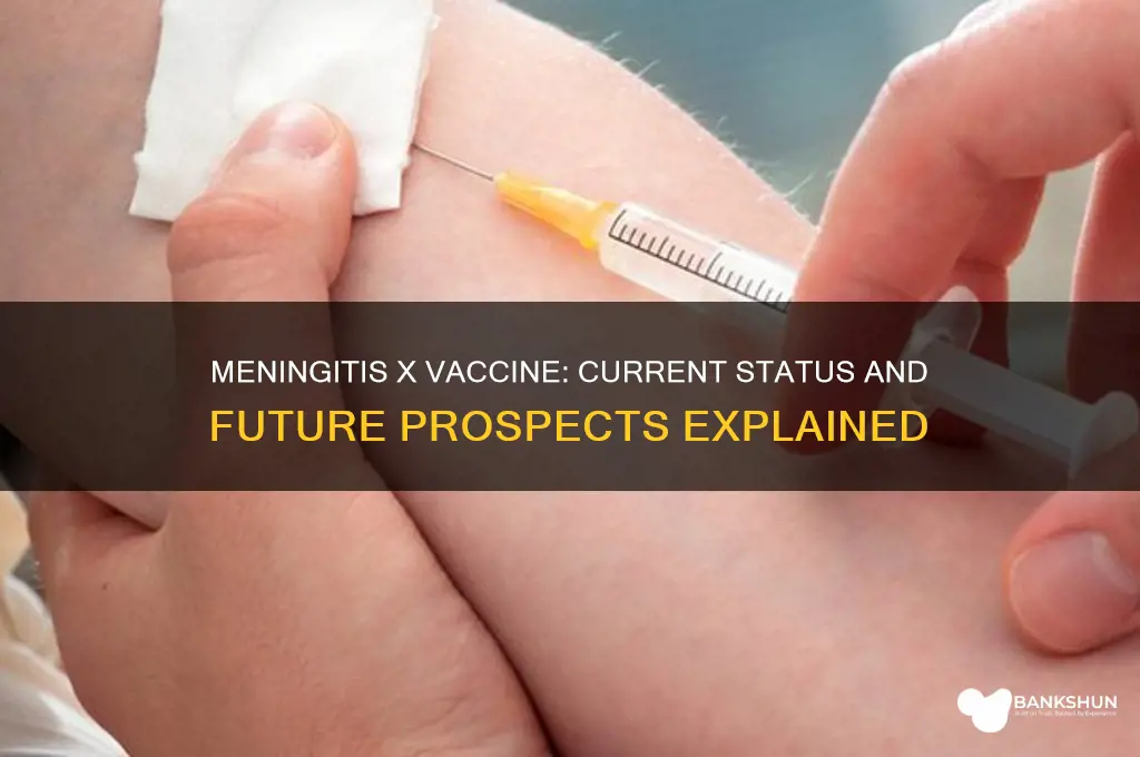 is there a vaccine for meningitis x