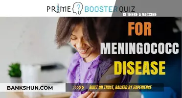 Meningococcal Disease Vaccine: Availability, Effectiveness, and Prevention Explained