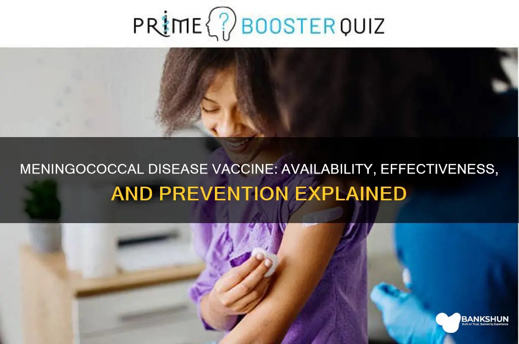 is there a vaccine for meningococcal disease