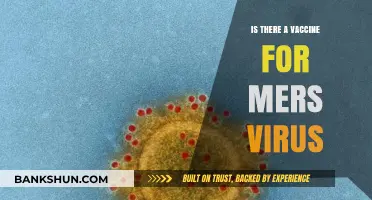 Exploring MERS: Current Vaccine Status and Prevention Strategies